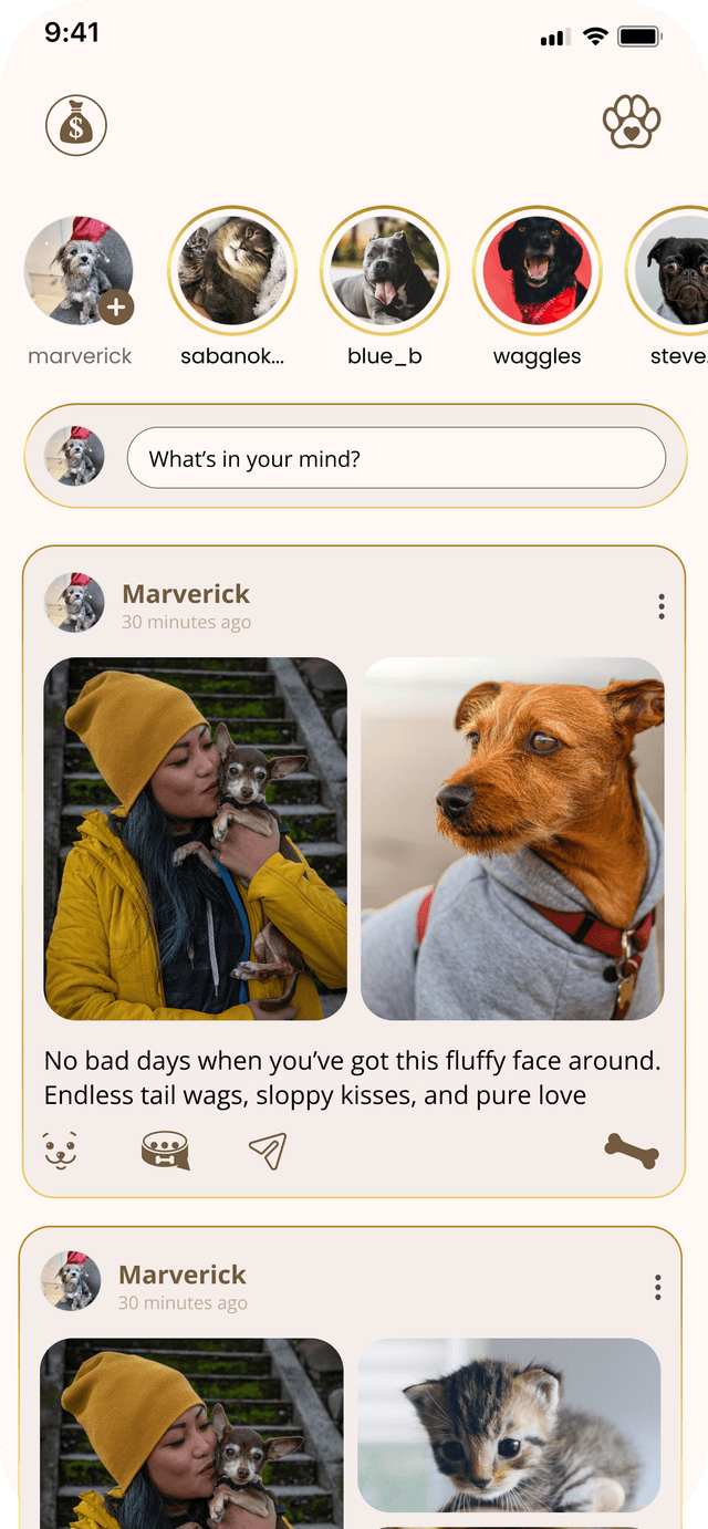 PetSocial Home Feed