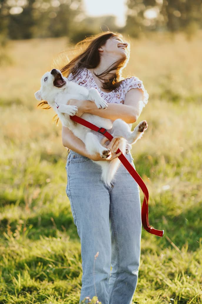 Pet community mission
